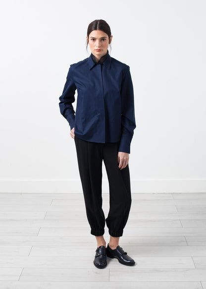 Sheer Silk Collar Button Up - A Stylish and Fashionable Choice